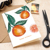 Oranges - Set of 8 Cards
